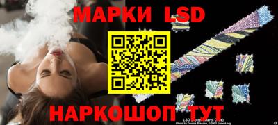 индика Новодвинск
