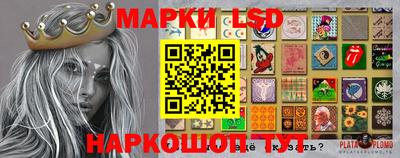 гидропоника Новозыбков