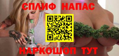 индика Новодвинск