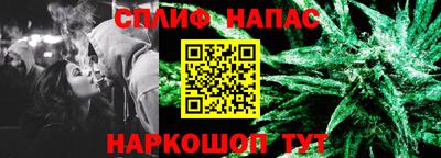 гидропоника Новозыбков