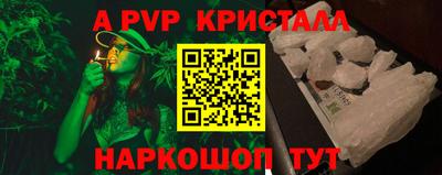 индика Новодвинск