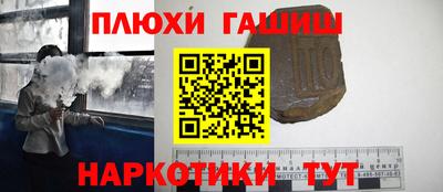 индика Новодвинск