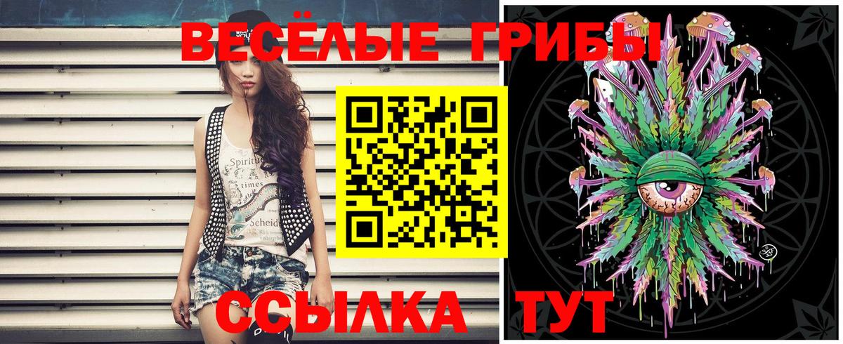 Галлюциногенные грибы GOLDEN TEACHER  Псилоцибиновые грибы Cubensis  Алейск  Вход с VPN 