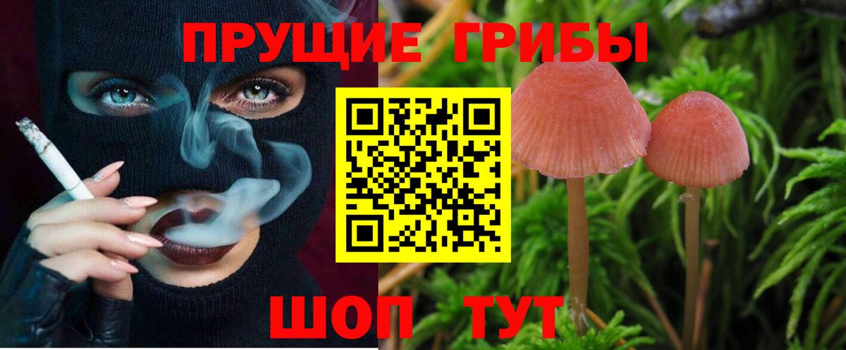 Галлюциногенные грибы MAGIC MUSHROOMS Алейск